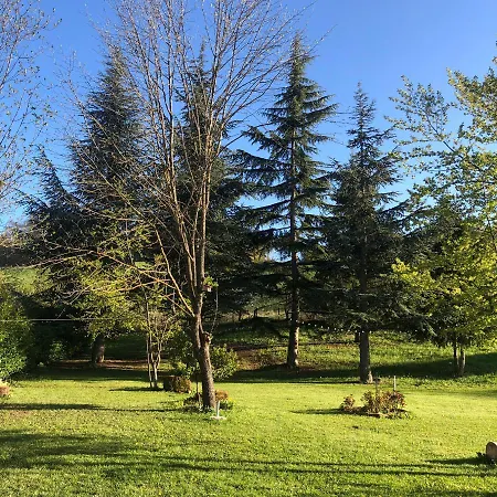 La Borra Daire